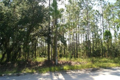 ELECTRIC POLE HAS LOT #