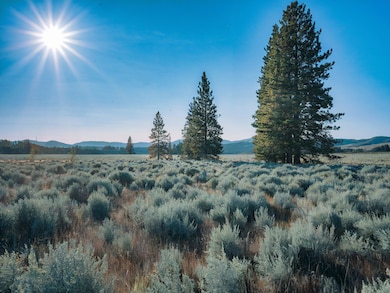 0 Fishhole Creek Rd unit 220200007, Bly, OR 97622 - photo 2