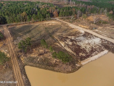 0 Sulphur Springs Rd unit 4132456, Canton, MS 39046 - photo 2