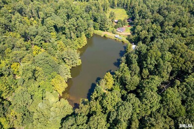 20601 Maggie Ln, Tamms, IL 62988 - photo 4