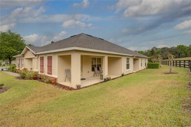 30430 Lipizzan Terrace, Mount Dora, FL 32757 - photo 5