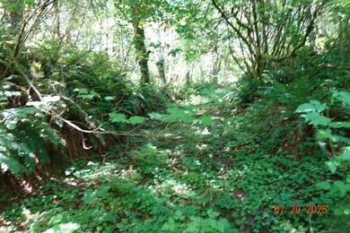 1 Duncan Creek Rd, Stevenson, WA 98648 - photo 2