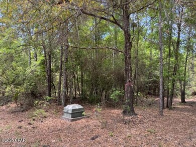 0000 Derby Dr, Chipley, FL 32428 - photo 2