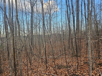 distant views