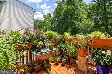 100 Macon Dr, Stafford, VA 22554 - photo 7