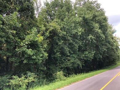 20.238 Brewer Rd, Louisburg, NC 27549 - photo 2