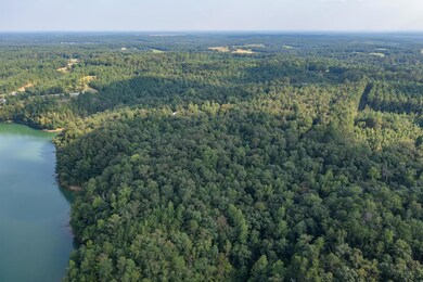 331 Quiet Cove Rd, Jasper, AL 35503 - photo 5