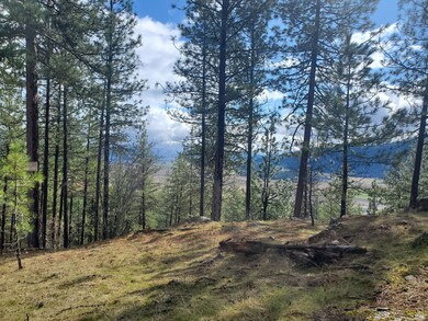 717 Snead Dr, Chewelah, WA 99109 - photo 3