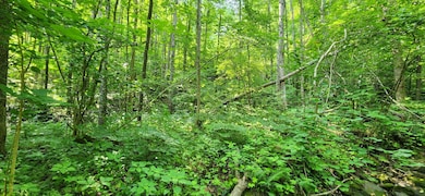 00 Runnett Bag Rd.