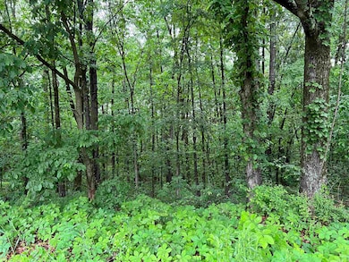 000 W Nettleton Ave, Jonesboro, AR 72401 - photo 6