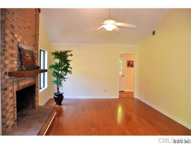 Great Room - Large great room with vaulted ceiling