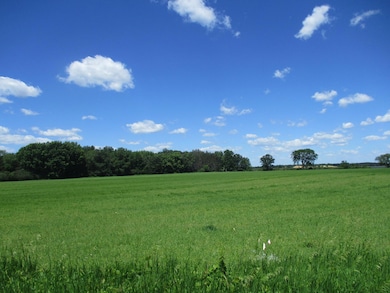 6822 Oneka Lake Blvd N, Hugo, MN 55038 - photo 6