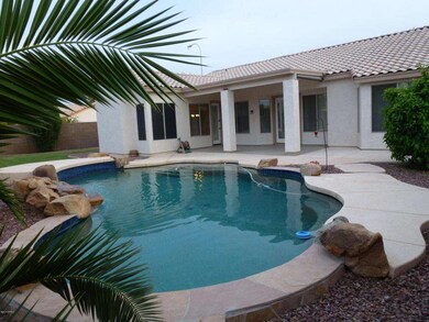 Pool / Back Patio
