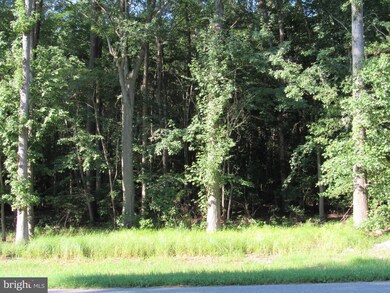 0 Hardscrabble Rd unit DESU2004450, Georgetown, DE 19947 - photo 2