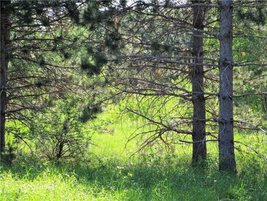 Woods