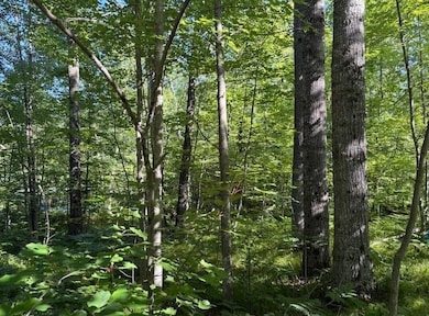 Lot 27 Azalea Ln, Frost Township, MI 48625 - photo 2