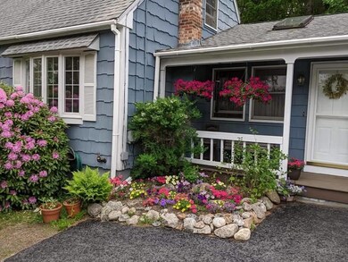 Flowers in bloom!