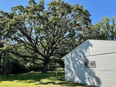 Stunning wise oak tree offering beauty and shade!