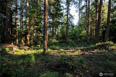 0 Ships Haven Dr unit NWM2414859, Freeland, WA 98249 - photo 6