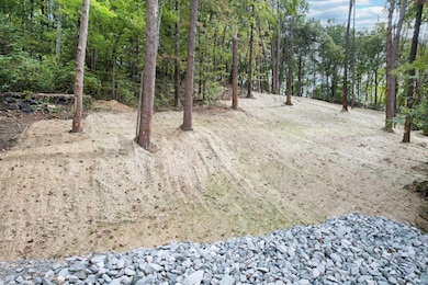 4-web-or-mls-DJI_0639