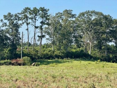 TBD Bennie Morris Rd, Mount Hermon, LA 70450 - photo 7