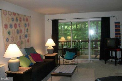 9523 Hickory Limb, Columbia, MD 21045 - photo 6