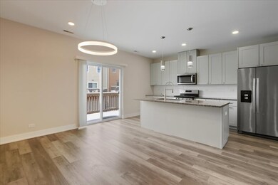 10604 Alice Mae Ct, Orland Park, IL 60462 - photo 4