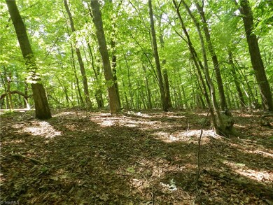 0 Oakmont Dr unit 832462, Asheboro, NC 27205 - photo 2