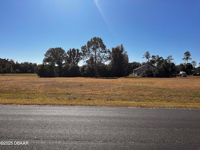 Lot 90 Lindsay Ln, Crescent City, FL 32112 - photo 3