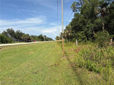 View of green lawn