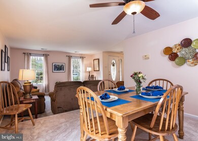 7509 Indian Pipe Ct, Columbia, MD 21046 - photo 7