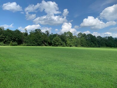 IMG-0303-