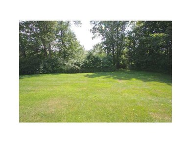 Back Yard. Large and open back yard,...