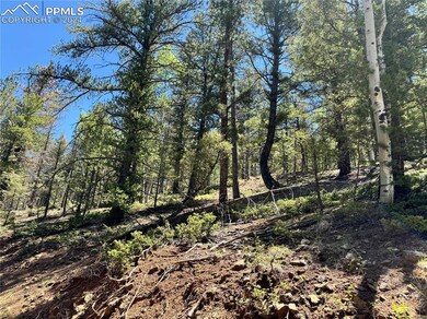 View of local wilderness