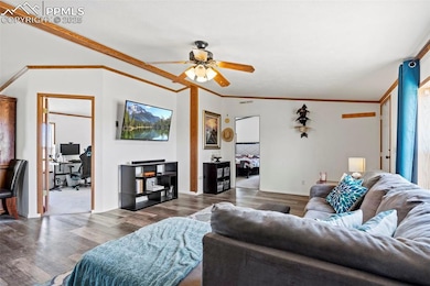 Living room with ceiling fan, dark wood-style floo