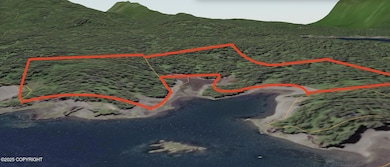 NHN Uyak Bay, Larsen Bay, AK 99624 - photo 5