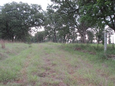 7800 Old Agnes Rd, Poolville, TX 76487 - photo 6