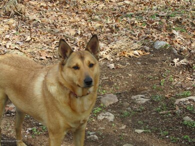 0 W 13 Th St, Jim Thorpe, PA 18229 - photo 6