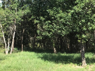 10055 Bluffview Ct, Whitney, TX 76692 - photo 2