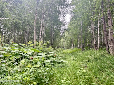 F3803161-28CC-4E48-96C6-5AF8300814AF_1_2