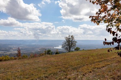 0 Hovering Hawk Dr unit 1326351, Jasper, TN 37347 - photo 7