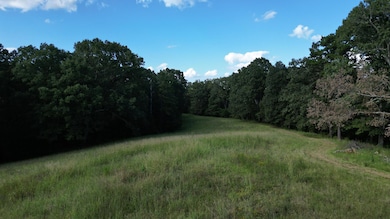 TBD Jerico Rd, Golden, MS 38847 - photo 4