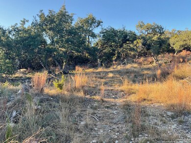 113 Champion Way, Spring Branch, TX 78070 - photo 6