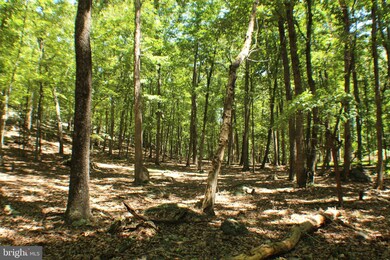 127 Ac Trough Rd, Moorefield, WV 26836 - photo 7