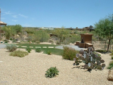 7 Backyard