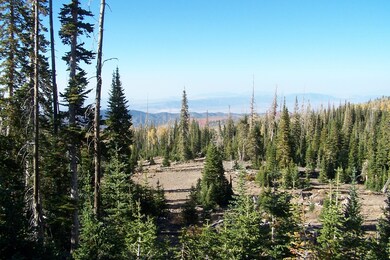 Saltpile lots 16 & 19 008