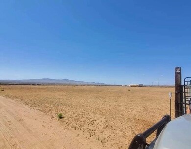 0 W Turkey Tract Rd unit 31261, Dolan Springs, AZ 86441 - photo 3