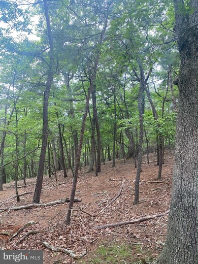 0 Big Sky Ln unit WVMO118606, Berkeley Springs, WV 25411 - photo 6