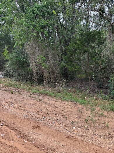 Lot 1035 Kawanui Dr, Bastrop, TX 78602 - photo 2