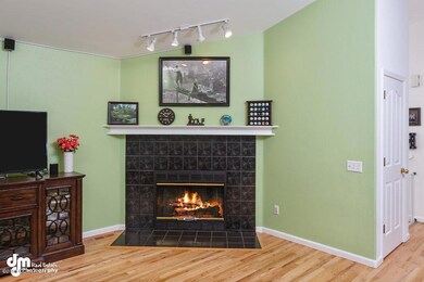 Fireplace_CG_5578-SMALL